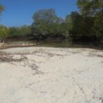 PROJECT SITE